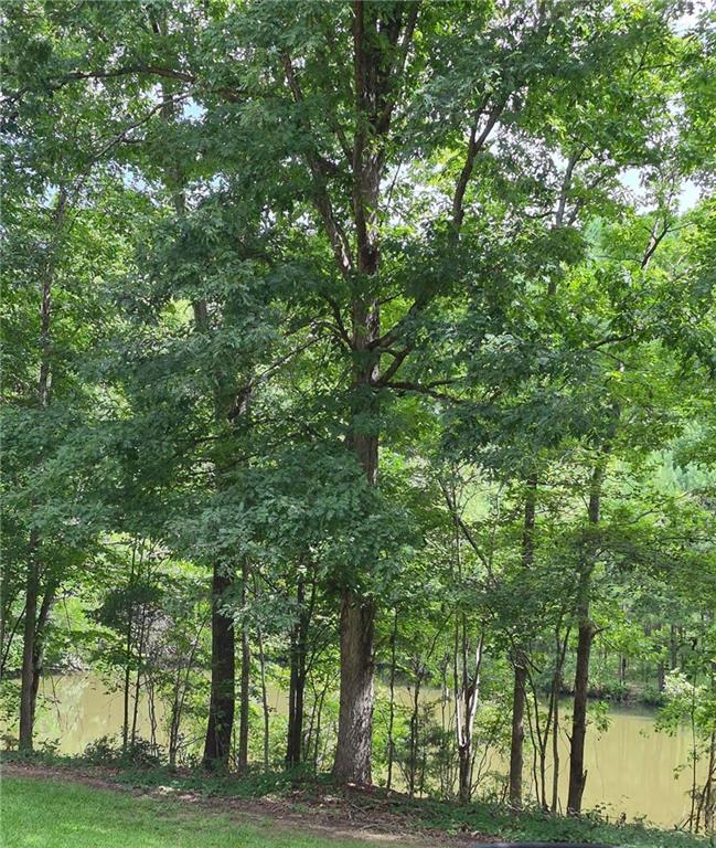 2256 Shadow Wood Drive Property Photo 84