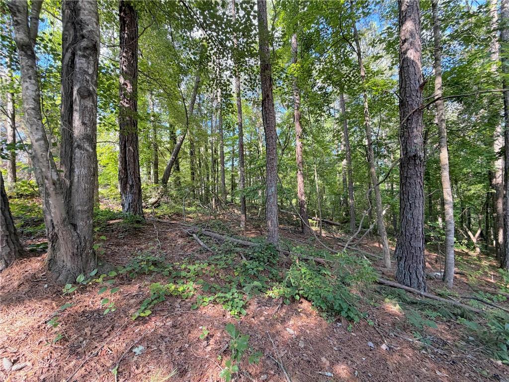 1306 Southgate Drive Property Photo 1