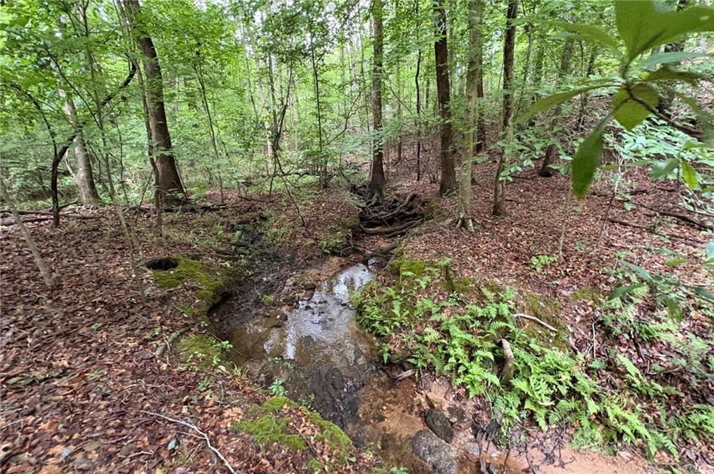 0 Lanette Circle Property Photo 1