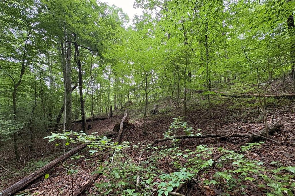 0 Lanette Circle Property Photo 3