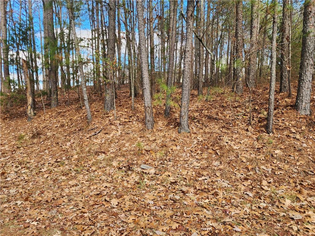 91 Cannon Ridge View Property Photo 1