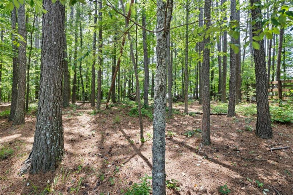 70 Moonlit Trail Property Photo 33