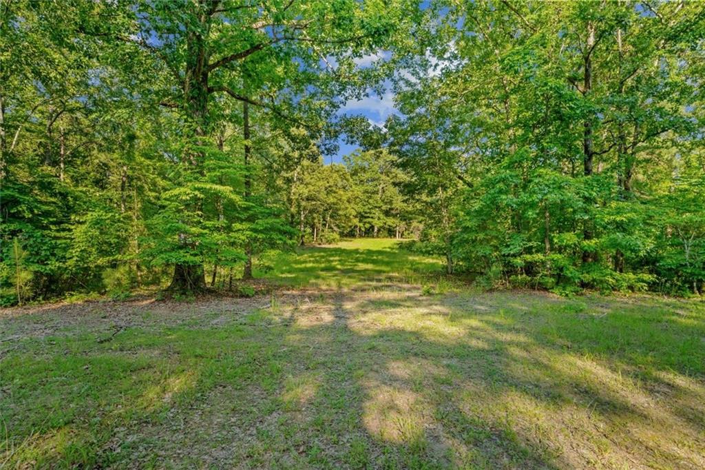 0 Blacks Bluff Road Sw Property Photo 8