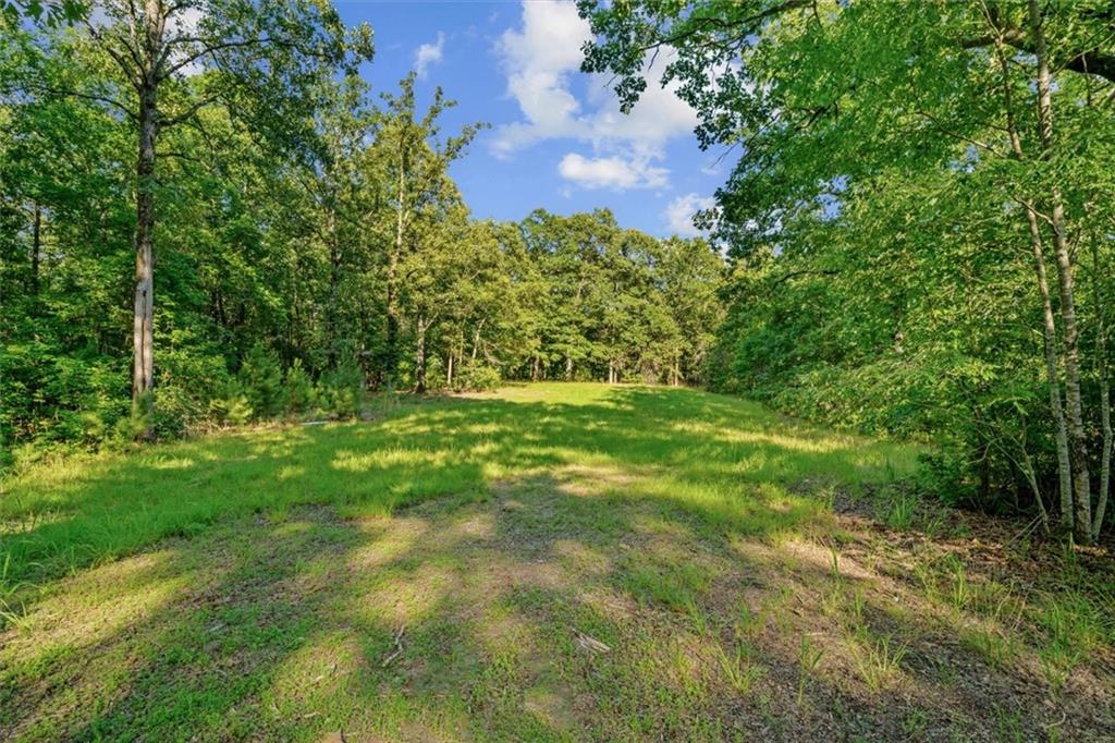 0 Blacks Bluff Road Sw Property Photo 9