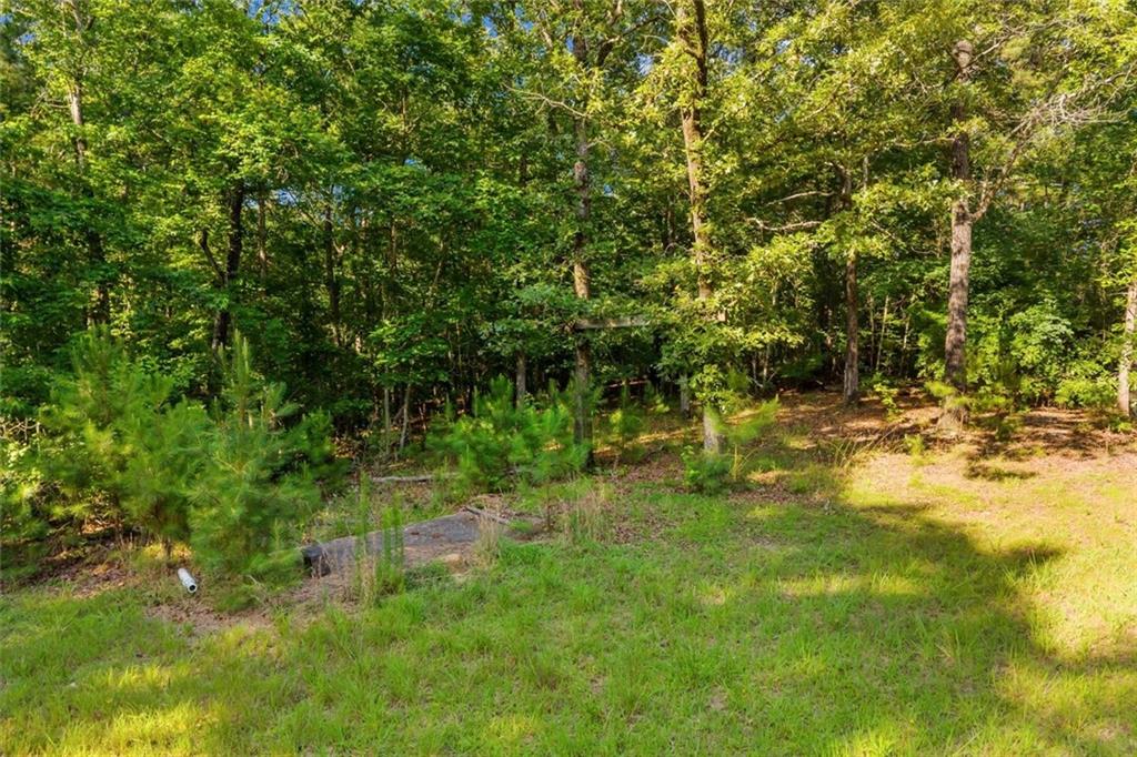 0 Blacks Bluff Road Sw Property Photo 23
