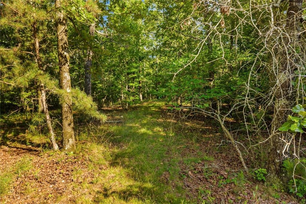 0 Blacks Bluff Road Sw Property Photo 24