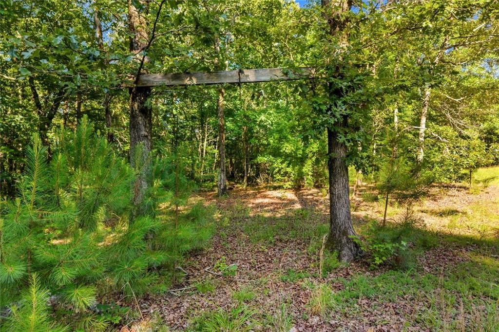 0 Blacks Bluff Road Sw Property Photo 25