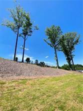 52 Suwannee Way Property Photo 18