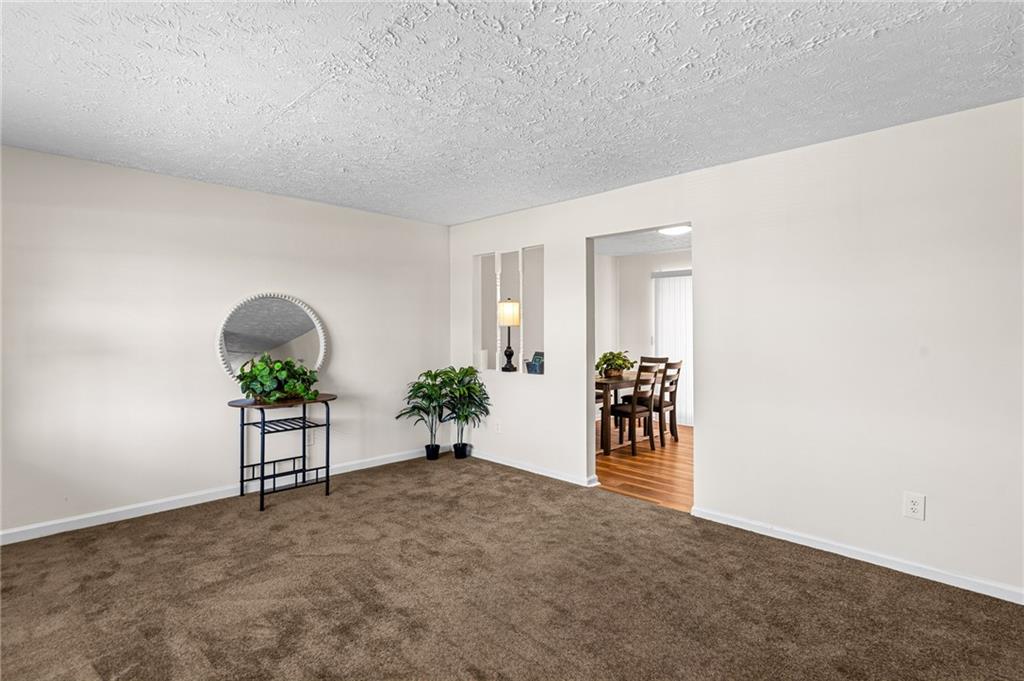 1832 Mcdonough Road Property Photo 3