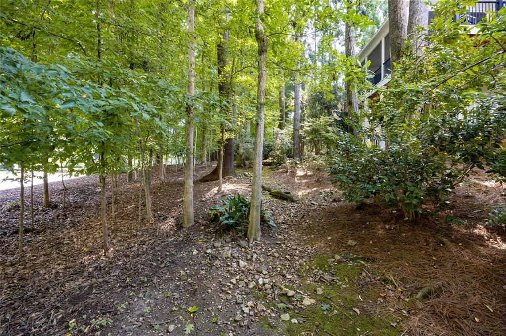 3976 Palisades Main Nw Property Photo 52