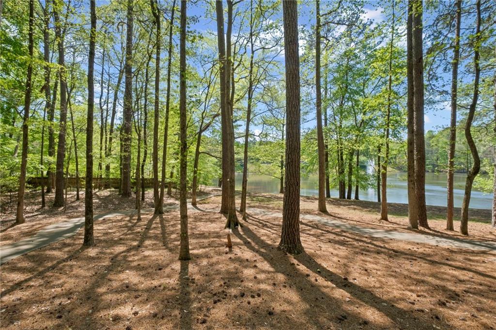 3976 Palisades Main Nw Property Photo 81