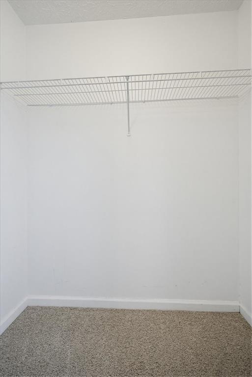 26 Hampton Drive Property Photo 17