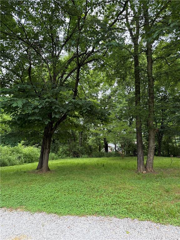 1515 Little Road Property Photo 3
