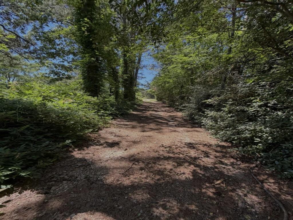 796 Shoemaker Road Property Photo 7