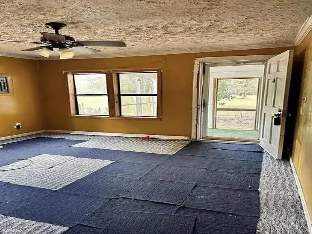 796 Shoemaker Road Property Photo 9