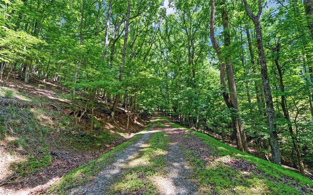 4273 Cherokee Trail Property Photo 5