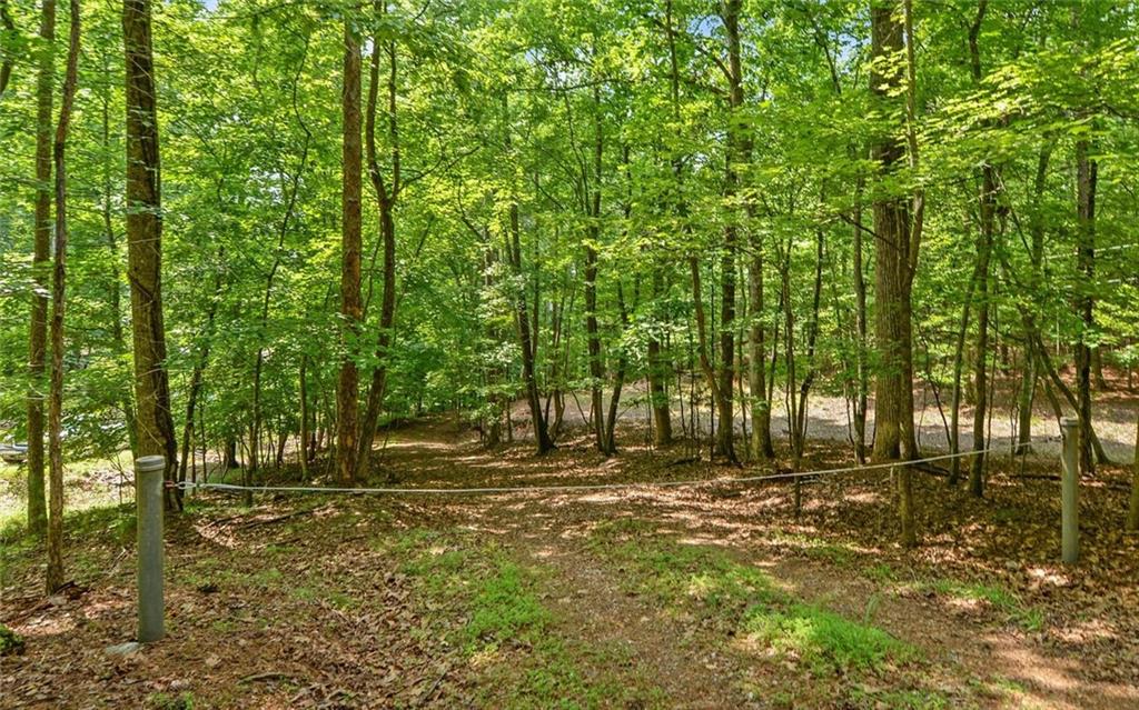 4273 Cherokee Trail Property Photo 11
