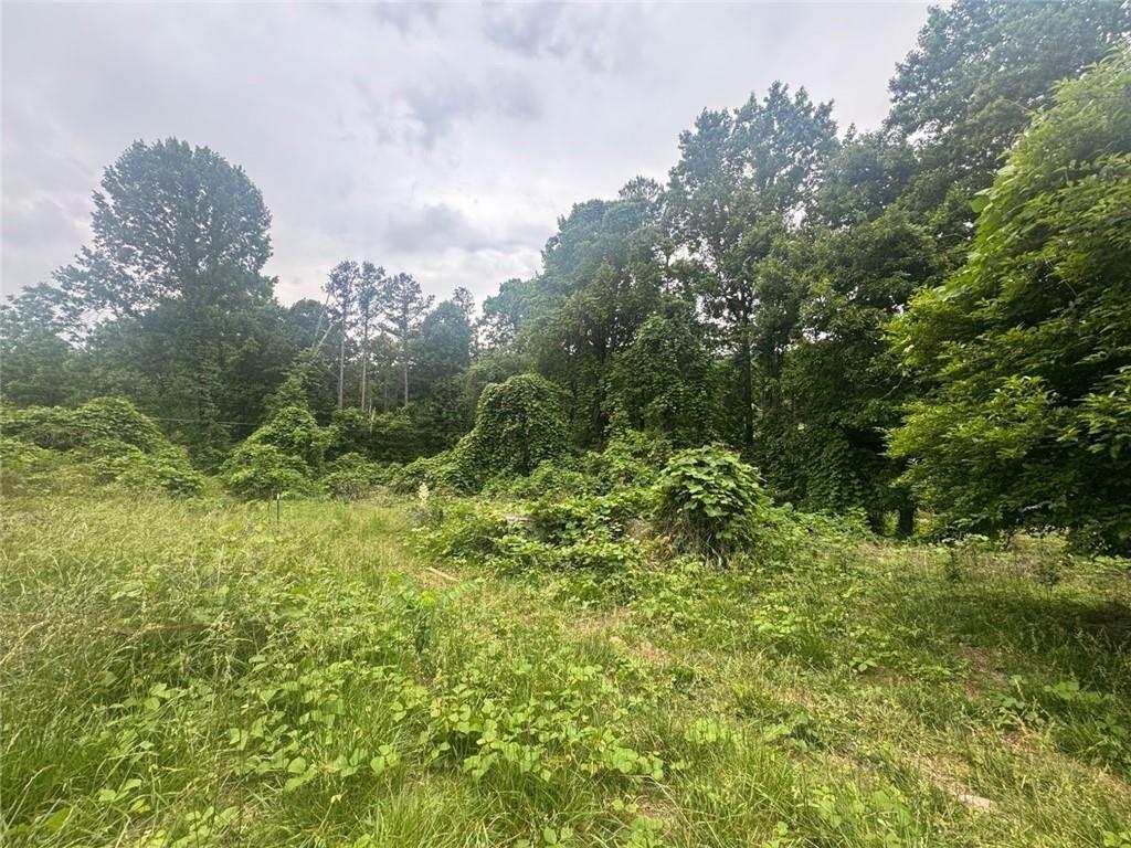 1460 Sam Nelson Road Property Photo 3