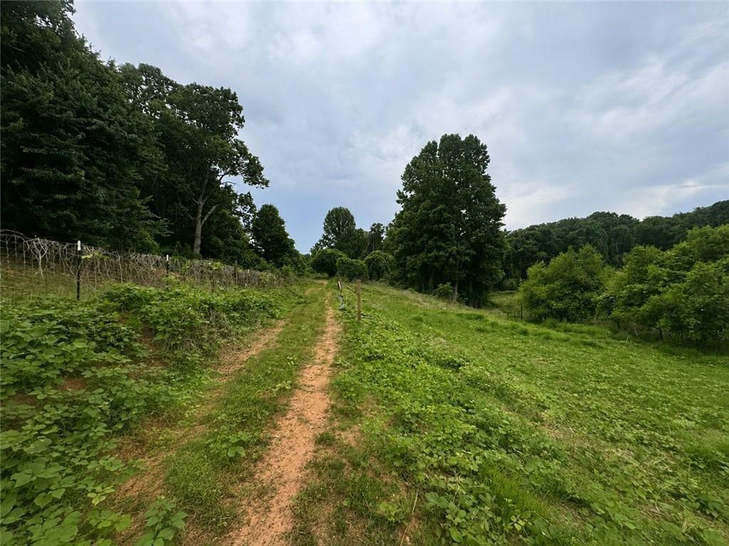1460 Sam Nelson Road Property Photo 5