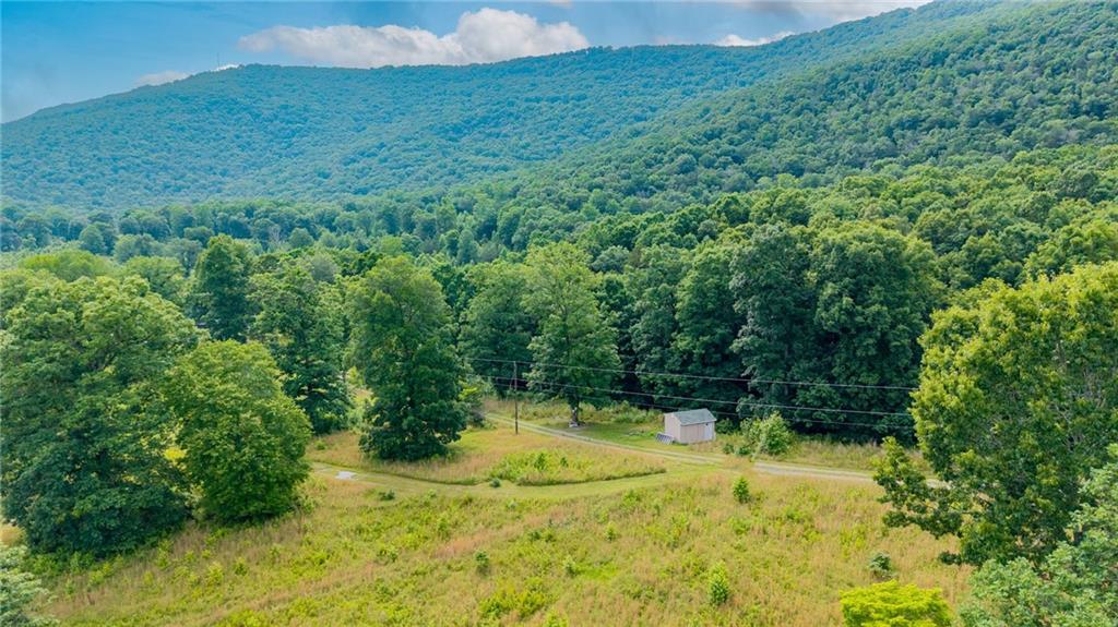 00 Newsome Gap Road Property Photo 9