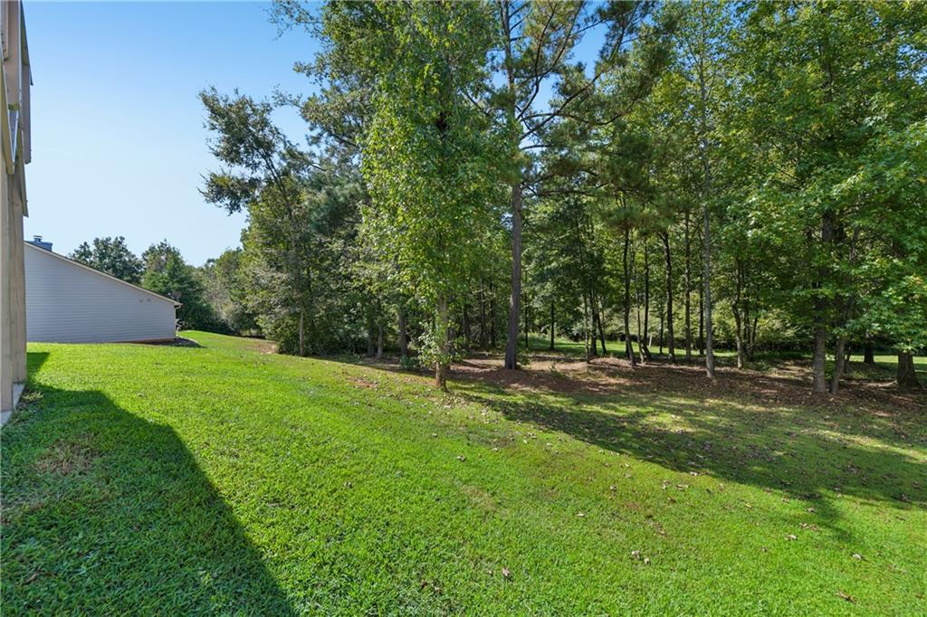 410 Redtail Road Property Photo 8