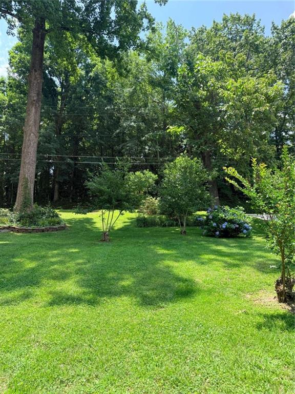 314 Spring Street Property Photo 5