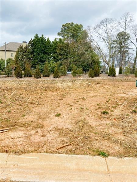 7787485 Property Photo 4