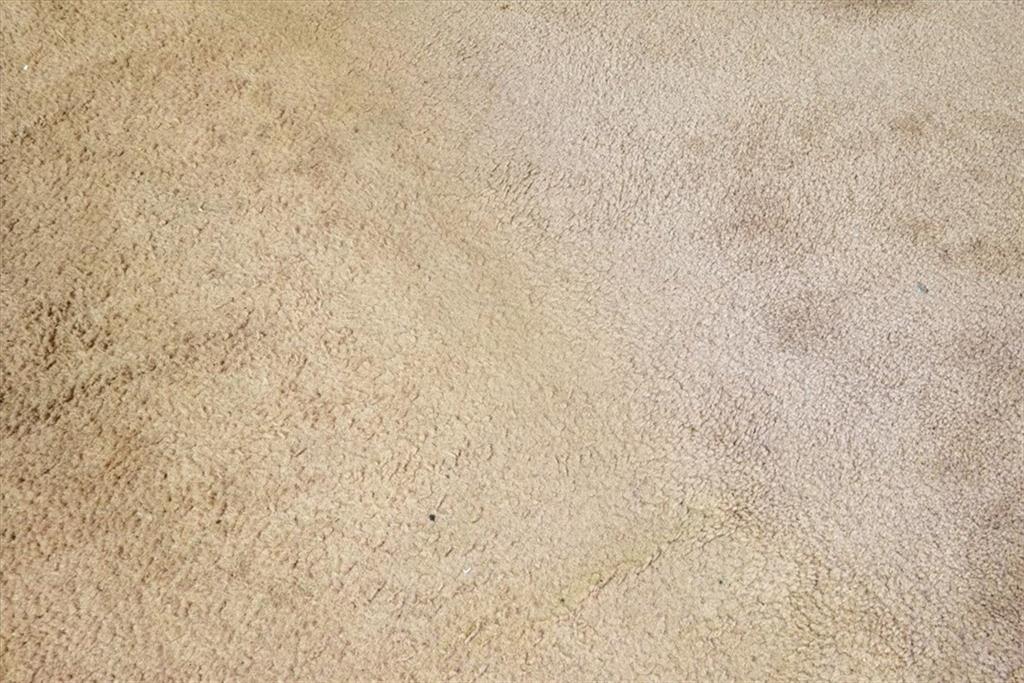 6932 Buckeye Way Property Photo 32