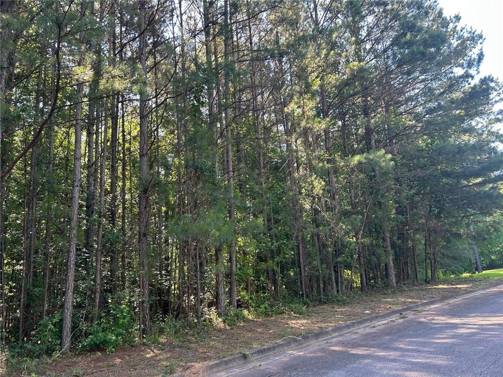 136 Harrison Place Property Photo 2