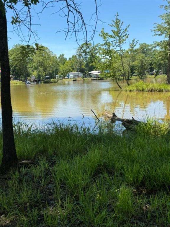 Lot 6 County Road 182 Property Photo 1