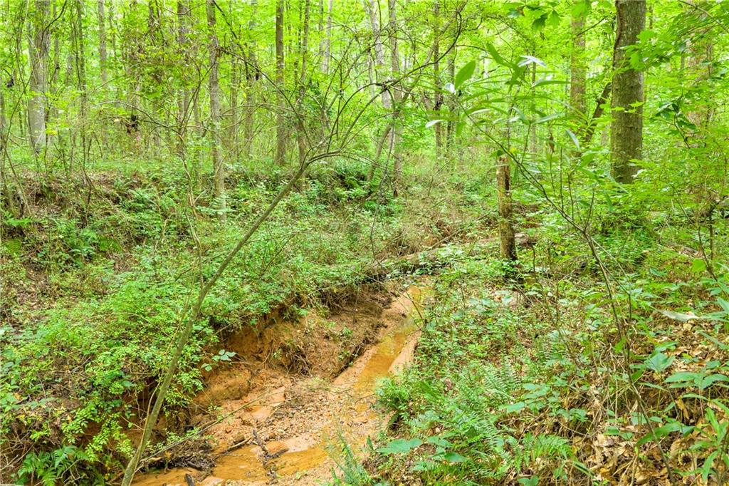 587 J B Owens Road Property Photo 15
