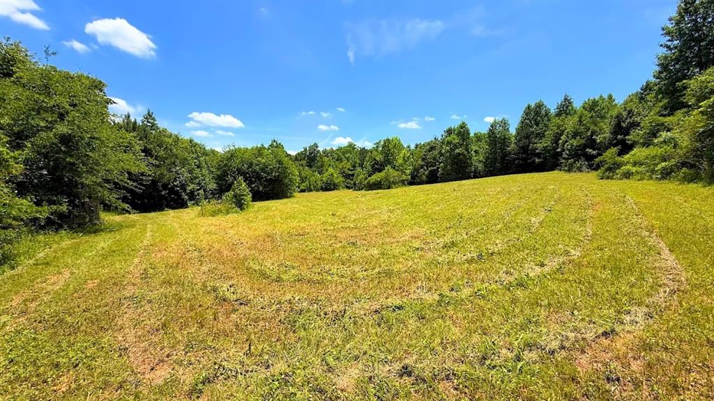 0 Nix Road Property Photo 1