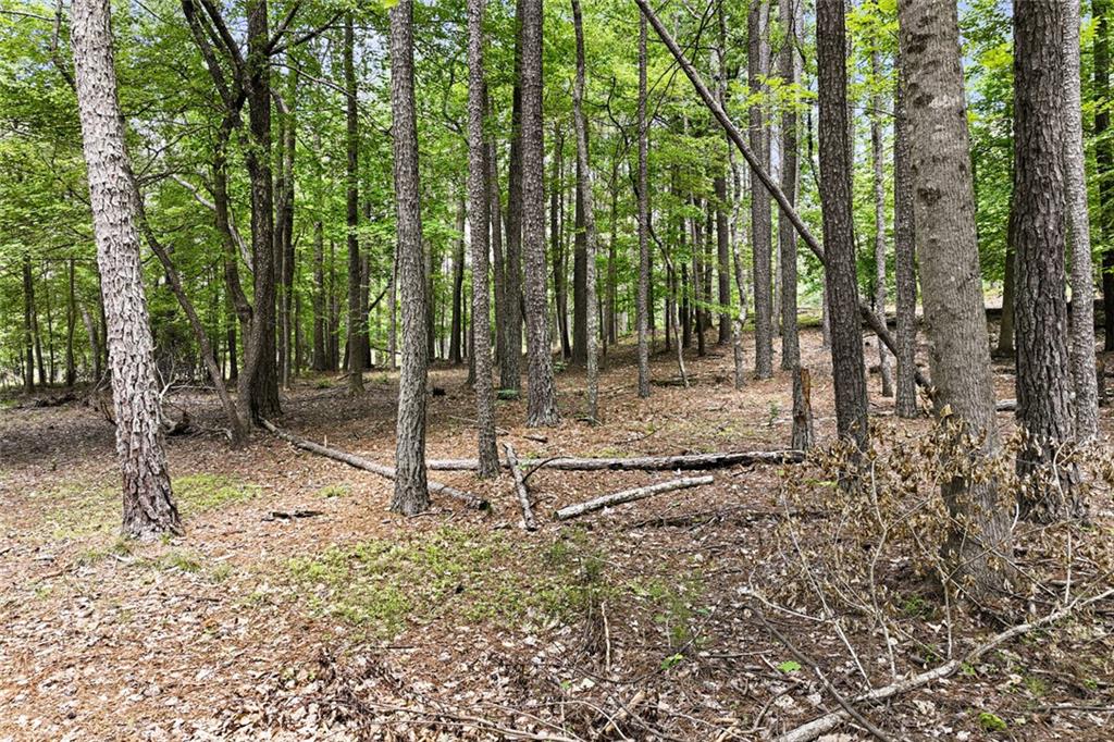 3735 Smithtown Road Property Photo 18