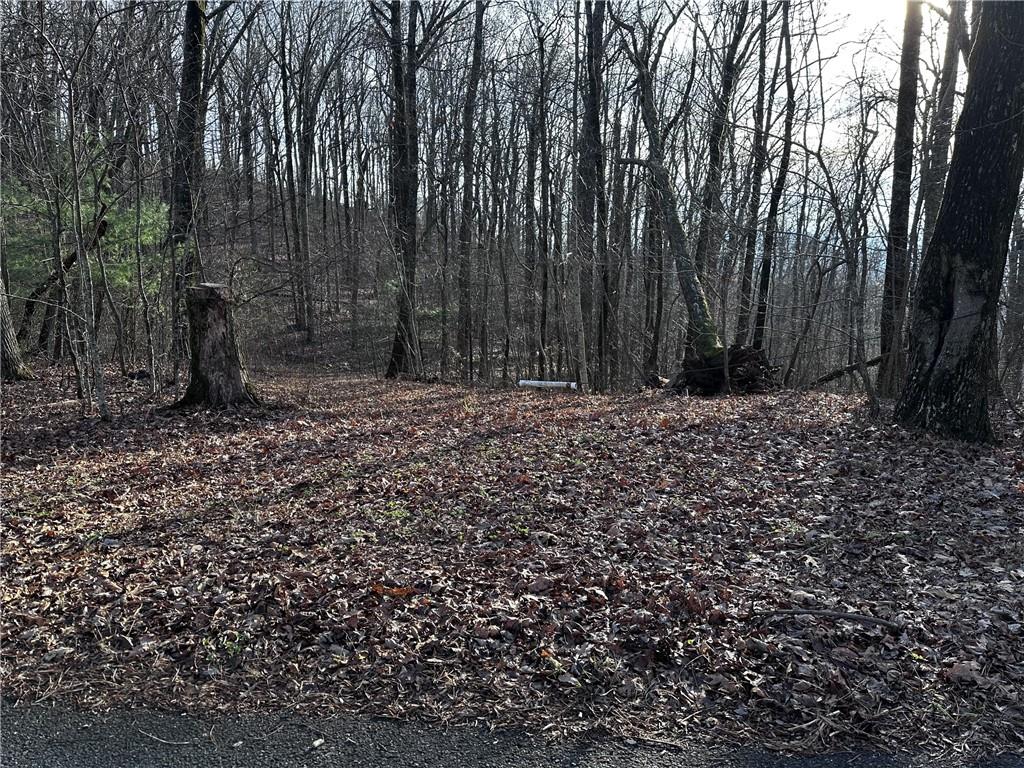 32 Andes Ridge Property Photo 2