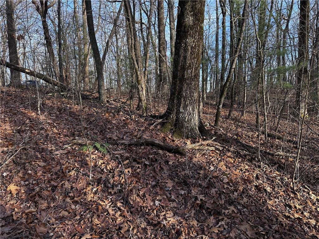 32 Andes Ridge Property Photo 12