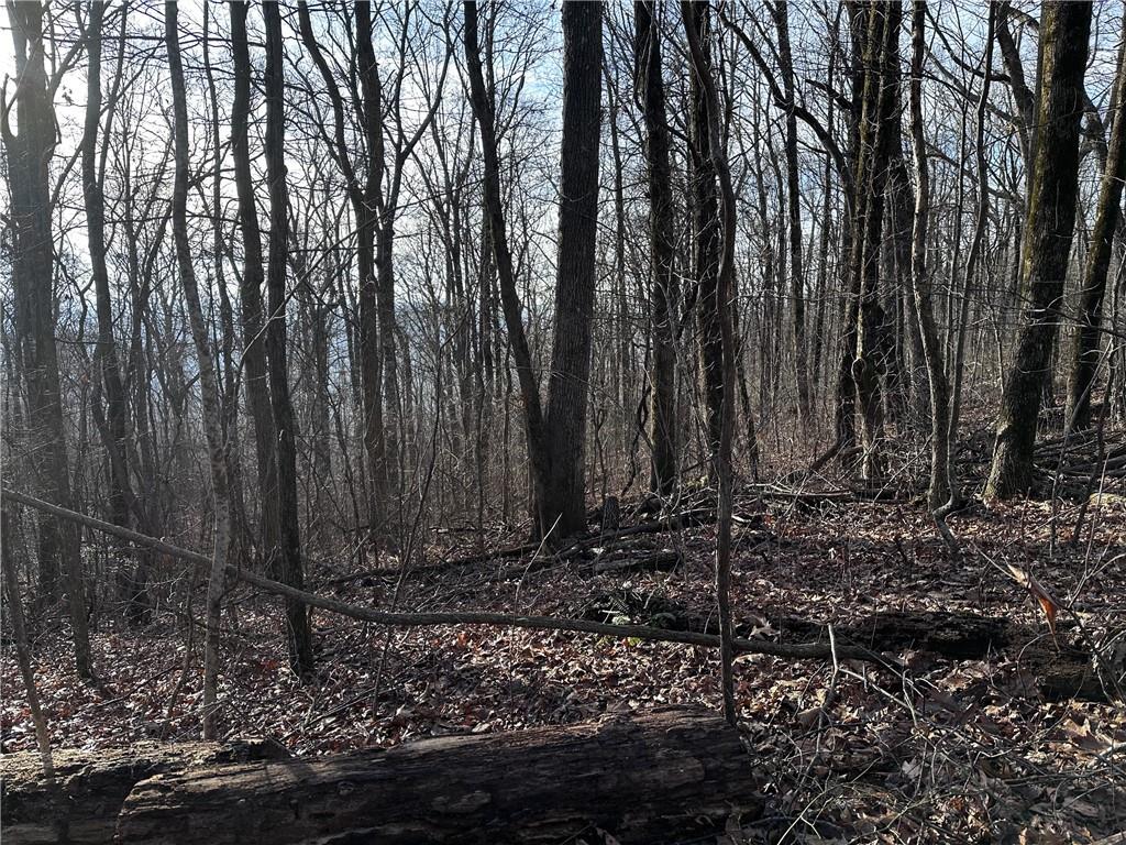 32 Andes Ridge Property Photo 14