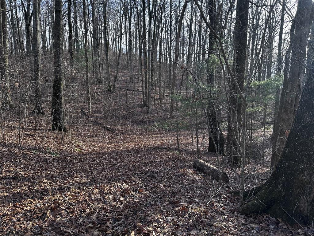 32 Andes Ridge Property Photo 16