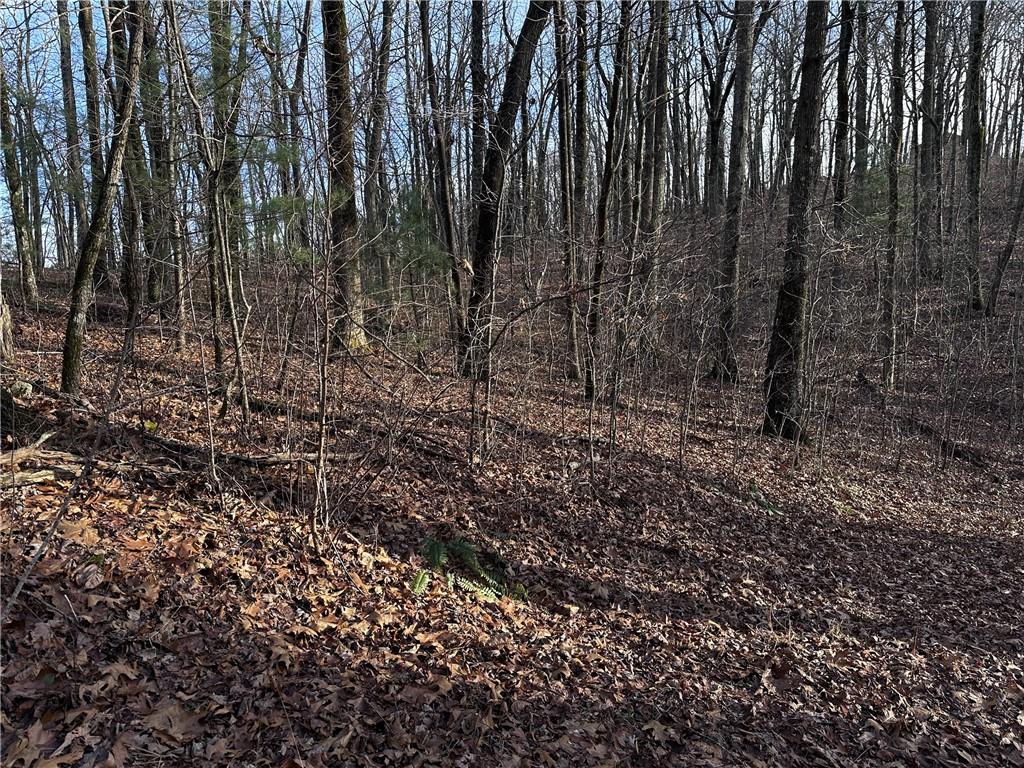 32 Andes Ridge Property Photo 17