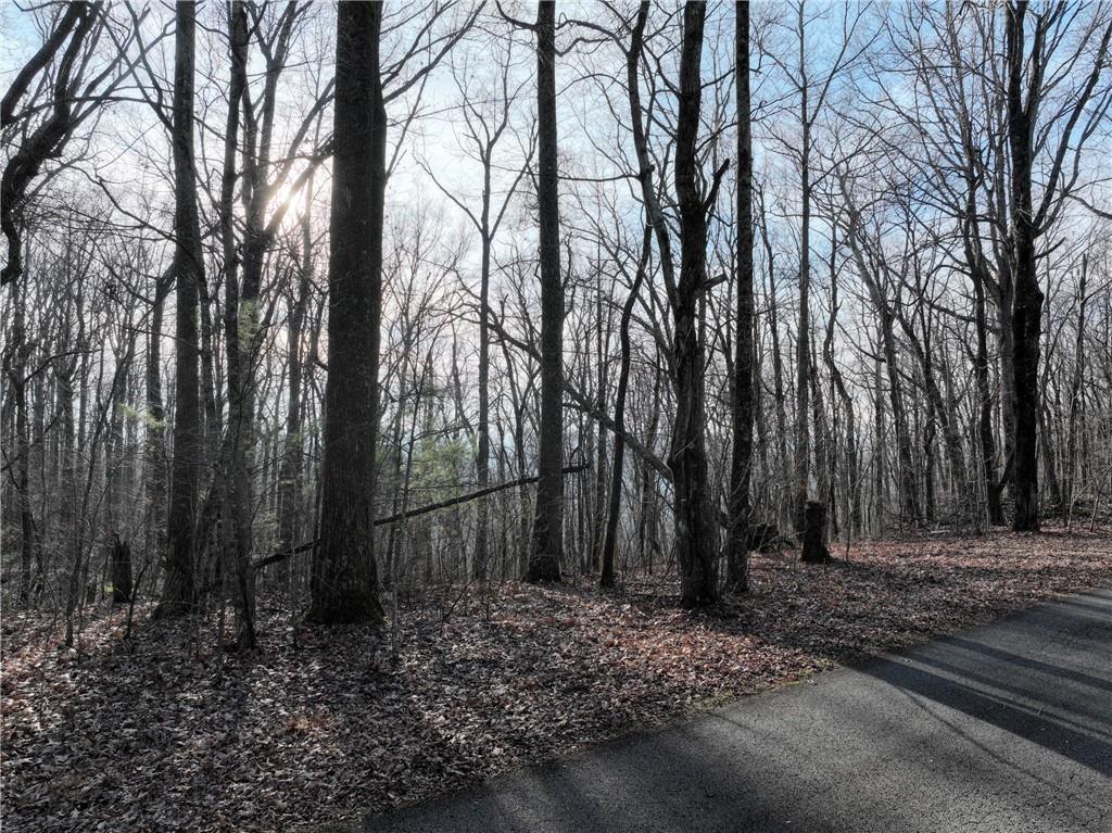 32 Andes Ridge Property Photo 21