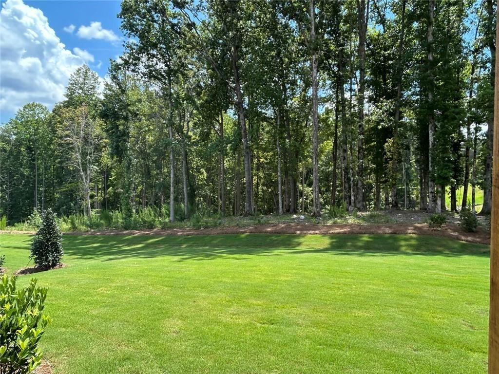1618 Ahaluna Drive Property Photo 20