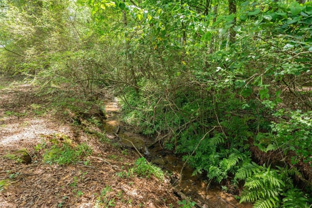 168 Happy Hollow Road Property Photo 75