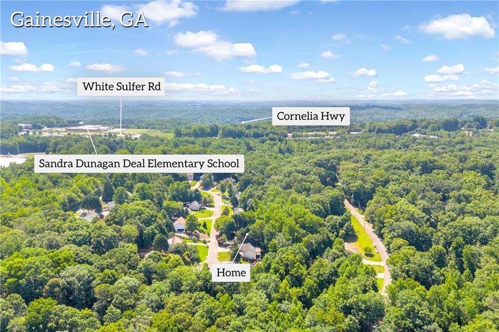 2941 Lake Hollow Road Property Photo 53