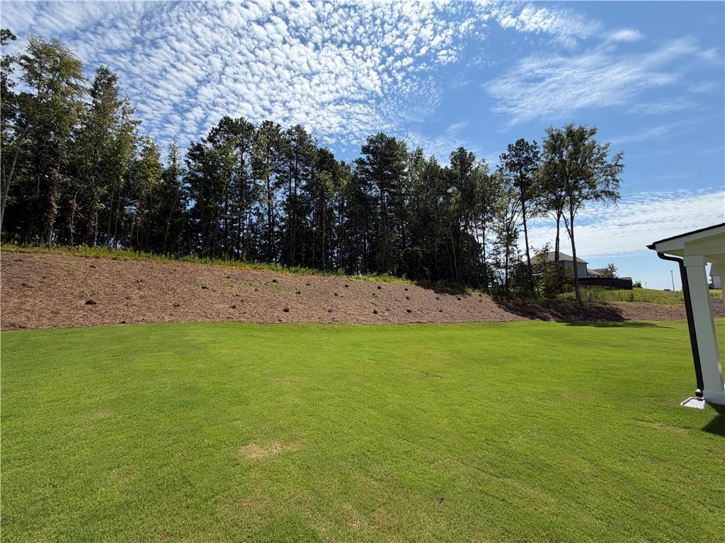 67 Bufflehead Pass Property Photo 42