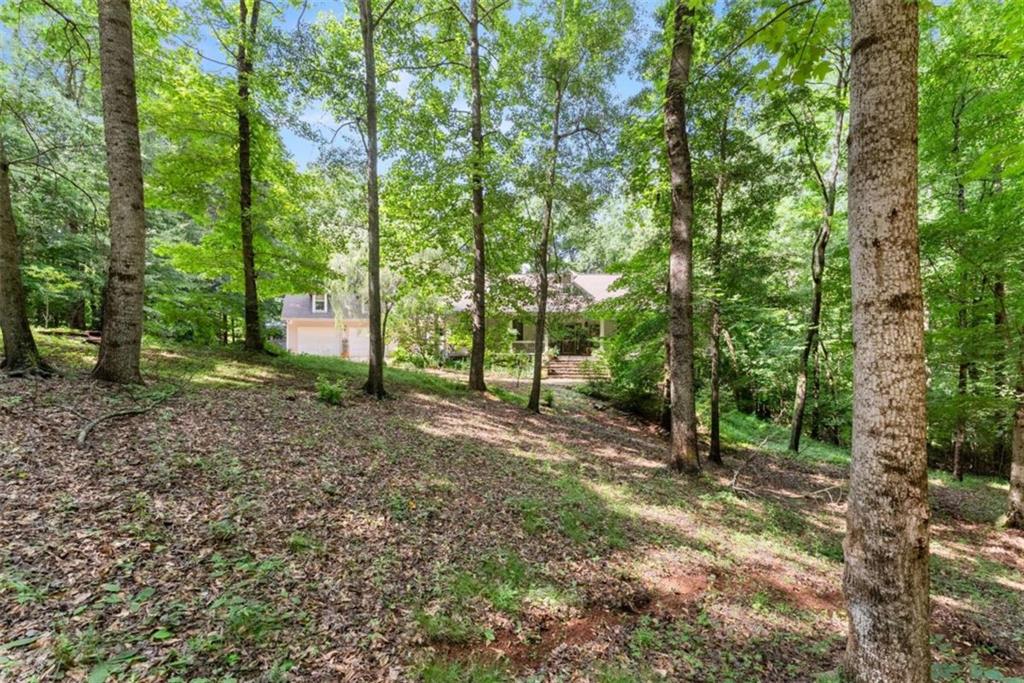 45 River Chase Property Photo 63