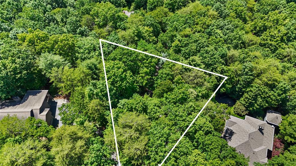 196 Cinnamon Fern Lane Property Photo 1