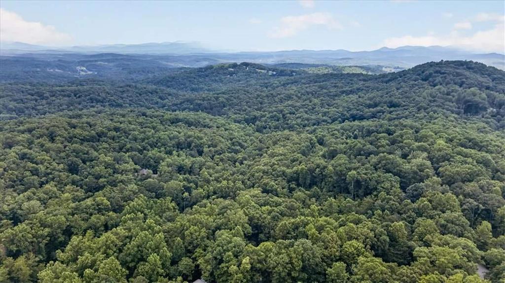 648 Stuart Mountain Road Property Photo 61