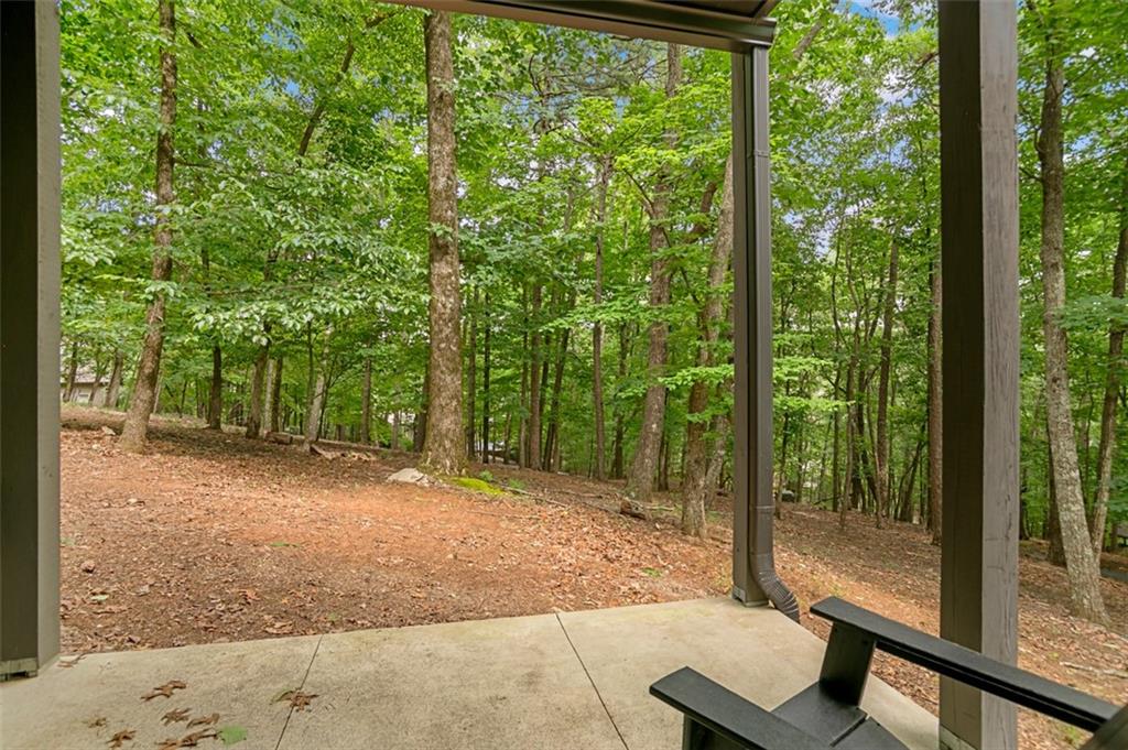 233 Lone Wolf Trail Property Photo 46