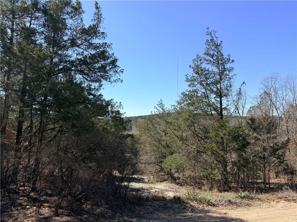 4012 Paulette Drive Property Photo 1