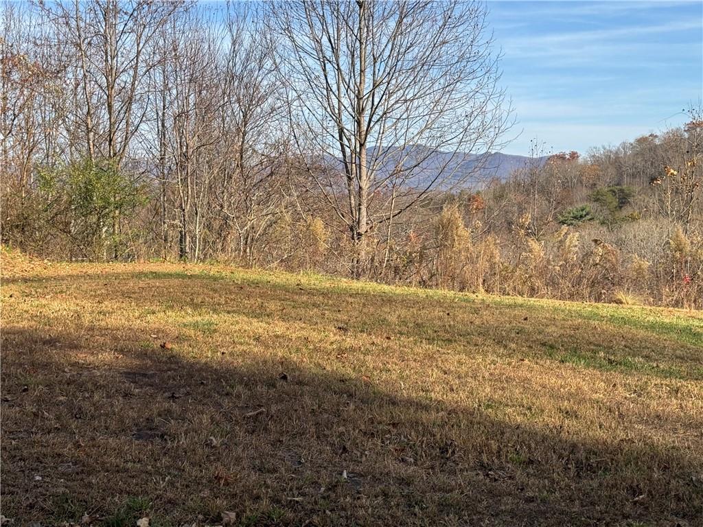 1220 Chatuge Manor Drive Property Photo 1