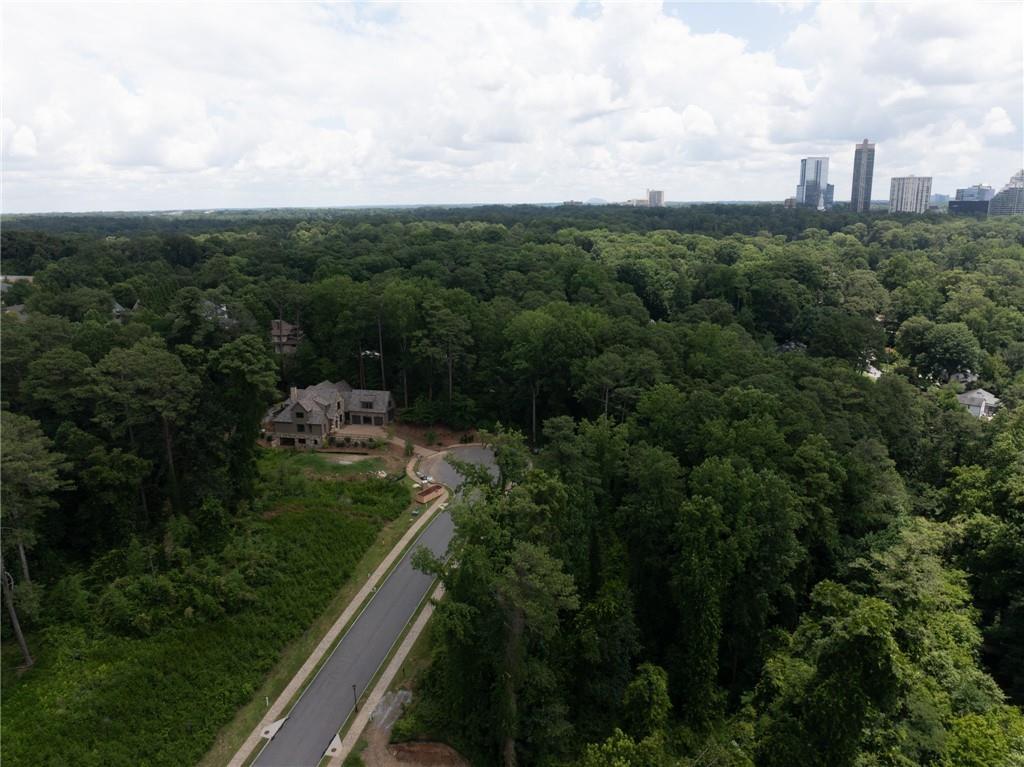 500 Emily Reed Lane Lot 6 Property Photo 42